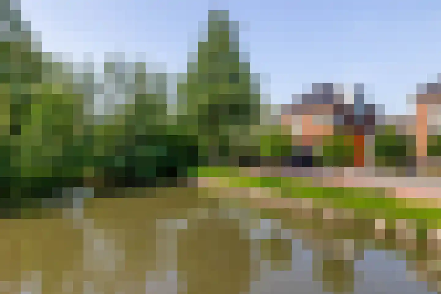 Sleedoorn 23 Bergambacht thumbnail 28