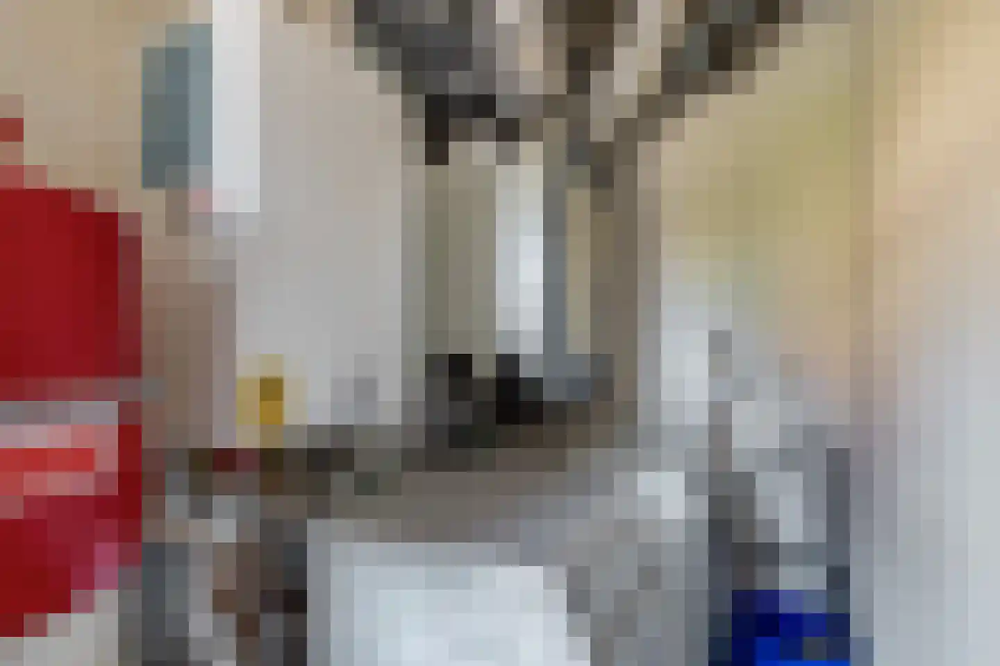 Sleedoorn 23 Bergambacht thumbnail 35