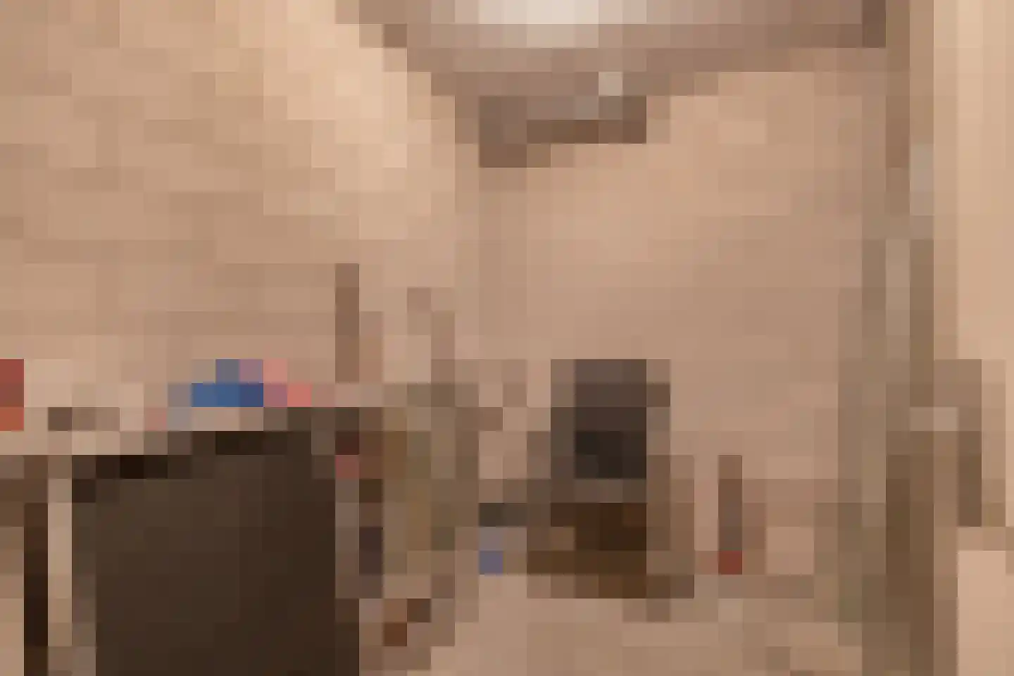 Sleedoorn 23 Bergambacht thumbnail 38