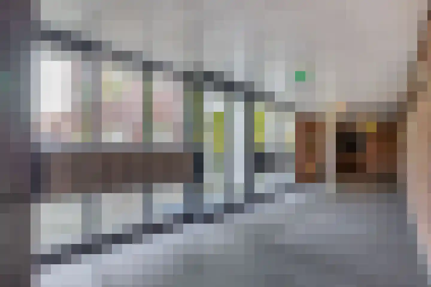 Sleedoorn 23 Bergambacht thumbnail 9