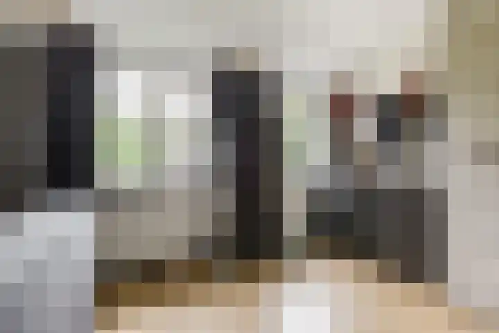 Sleedoorn 25 Cuijk thumbnail 11