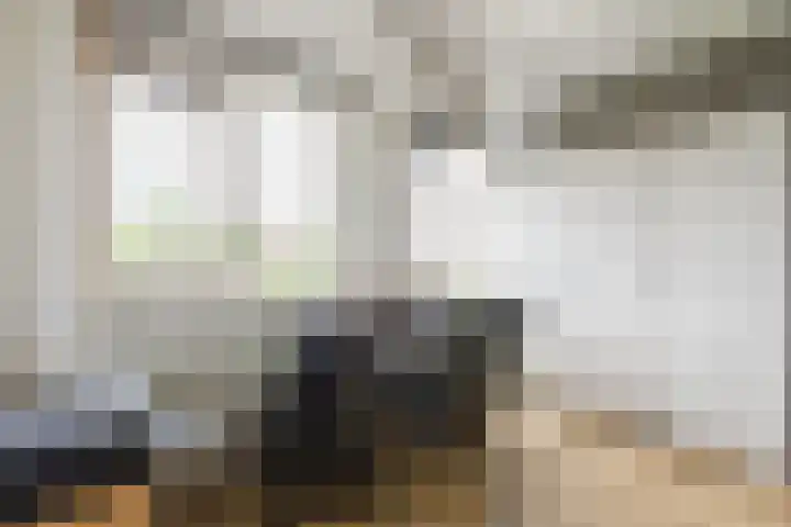 Sleedoorn 25 Cuijk thumbnail 12