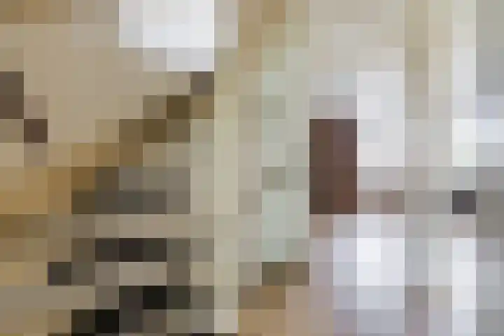 Sleedoorn 25 Cuijk thumbnail 17