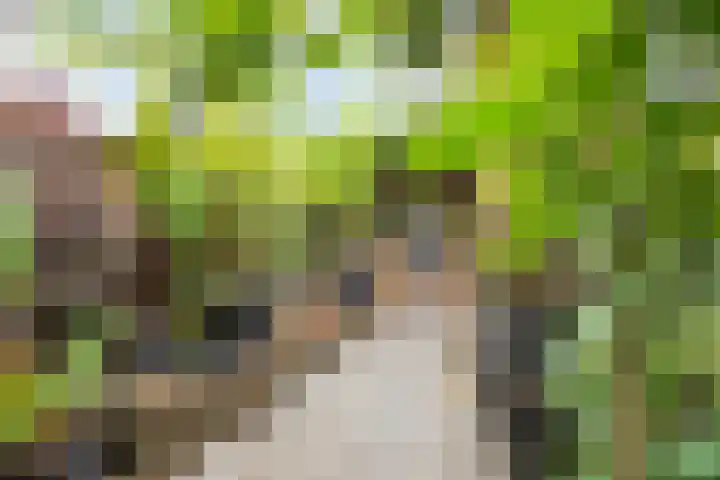 Sleedoorn 25 Cuijk thumbnail 21