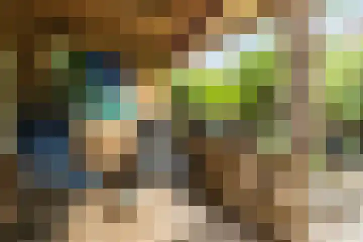 Sleedoorn 25 Cuijk thumbnail 23