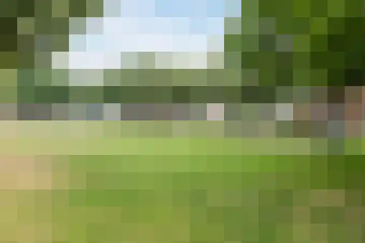 Sleedoorn 25 Cuijk thumbnail 25