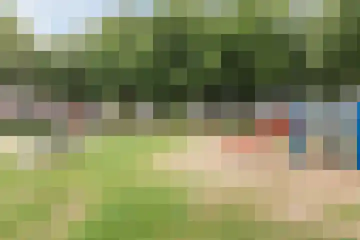Sleedoorn 25 Cuijk thumbnail 26