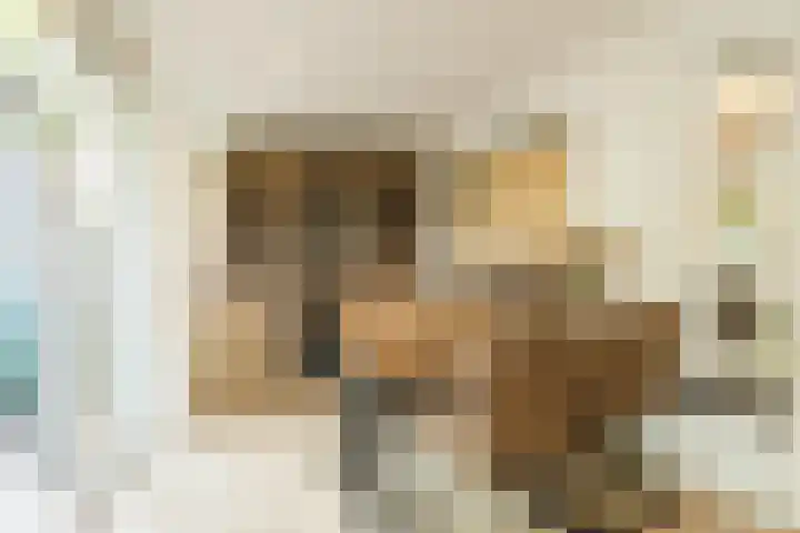 Sleedoorn 25 Cuijk thumbnail 4