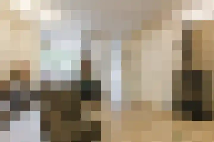 Sleedoorn 25 Cuijk thumbnail 6