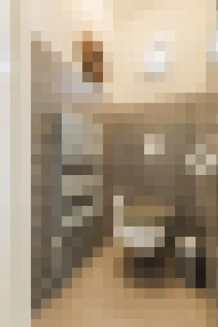 Sleedoorn 25 Cuijk thumbnail 8
