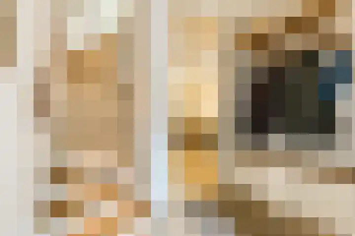 Sleedoorn 25 Cuijk thumbnail 9