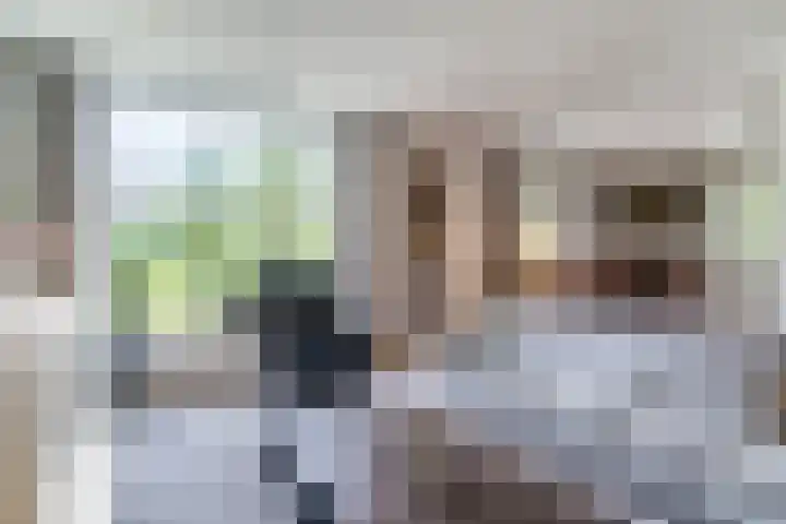 Sleedoorn 27 Geldrop thumbnail 10