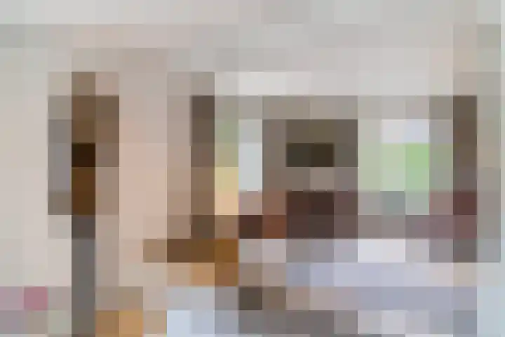 Sleedoorn 27 Geldrop thumbnail 12