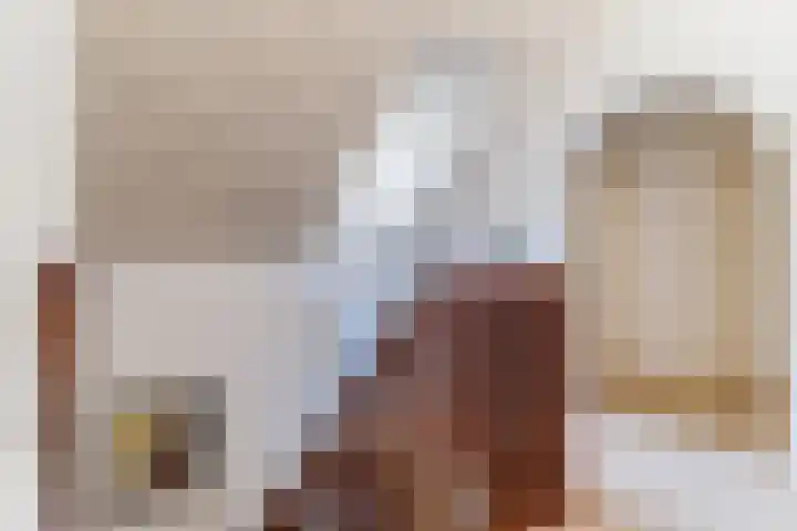 Sleedoorn 27 Geldrop thumbnail 24