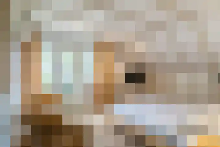 Sleedoorn 27 Geldrop thumbnail 26