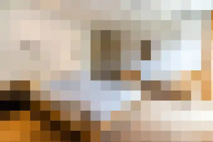 Sleedoorn 27 Geldrop thumbnail 27