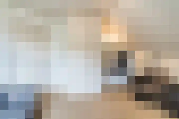 Sleedoorn 27 Geldrop thumbnail 30