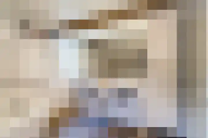 Sleedoorn 27 Geldrop thumbnail 37