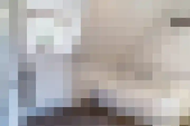 Sleedoorn 27 Geldrop thumbnail 38