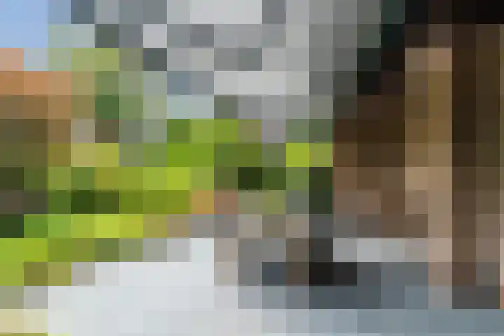 Sleedoorn 27 Geldrop thumbnail 42