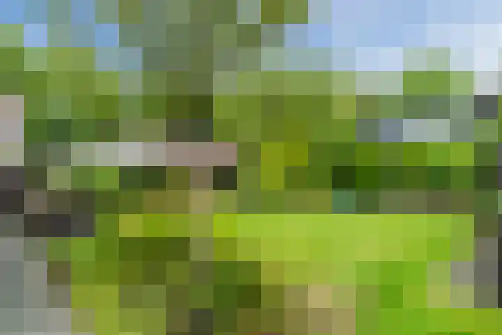 Sleedoorn 27 Geldrop thumbnail 43
