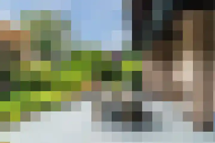 Sleedoorn 27 Geldrop thumbnail 44