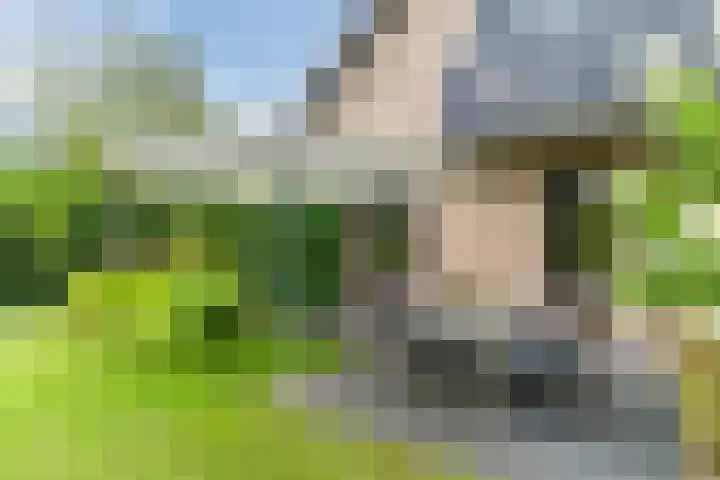 Sleedoorn 27 Geldrop thumbnail 46