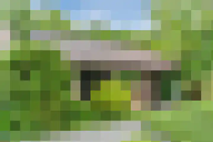 Sleedoorn 27 Geldrop thumbnail 47