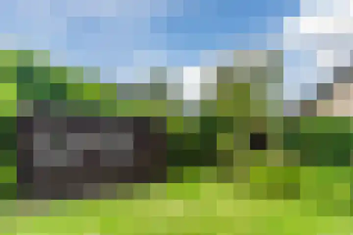 Sleedoorn 27 Geldrop thumbnail 48
