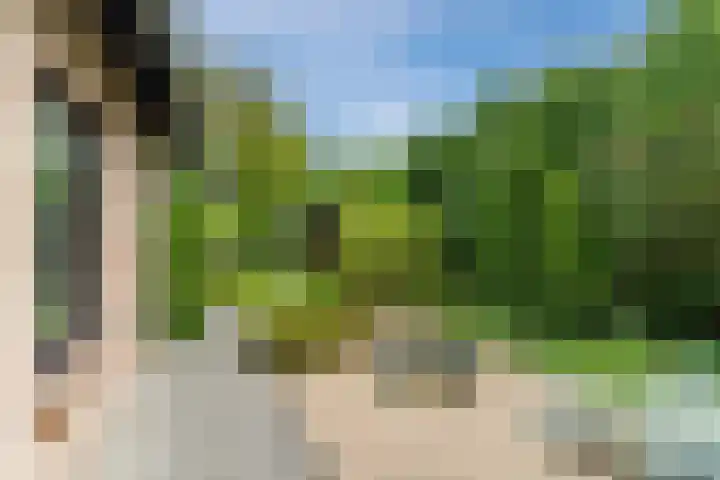 Sleedoorn 27 Geldrop thumbnail 51