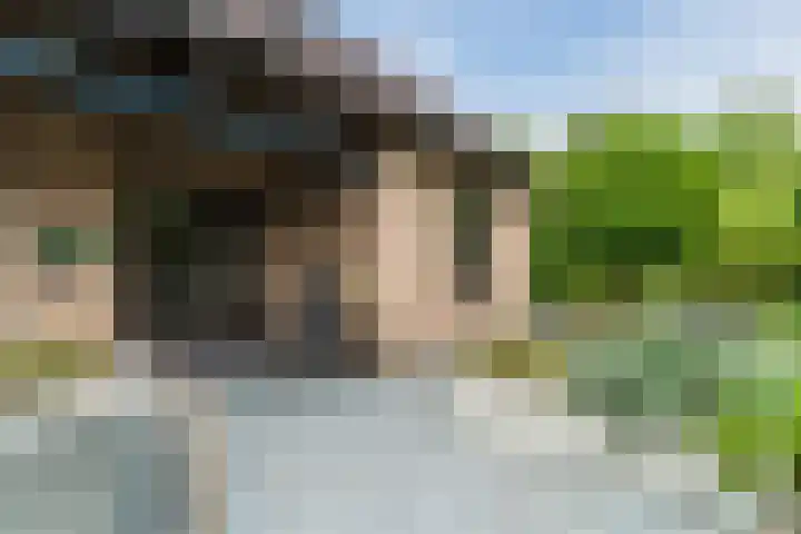 Sleedoorn 27 Geldrop thumbnail 52
