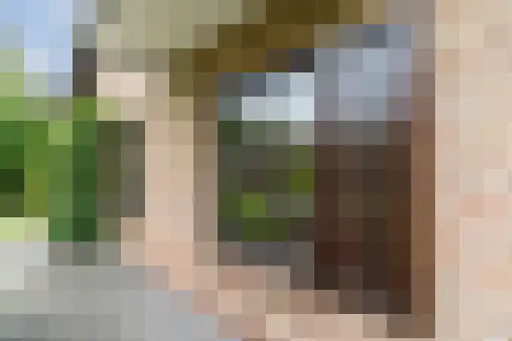 Sleedoorn 27 Geldrop thumbnail 53