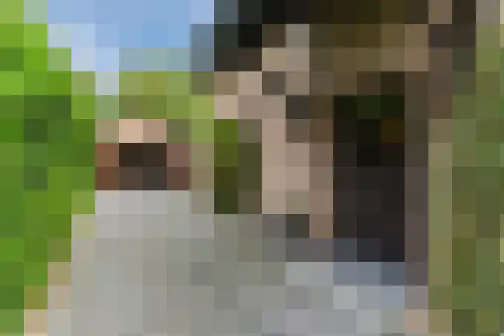 Sleedoorn 27 Geldrop thumbnail 55