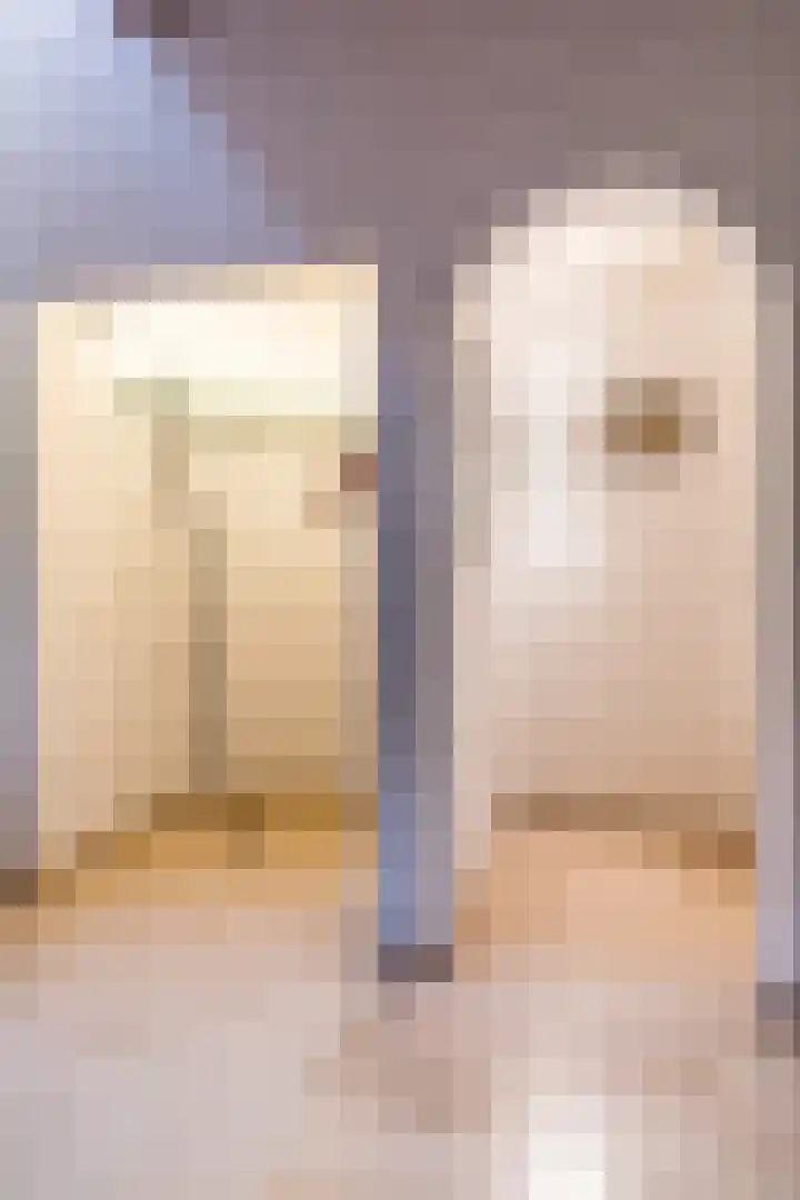 Sleedoorn 27 Geldrop thumbnail 6