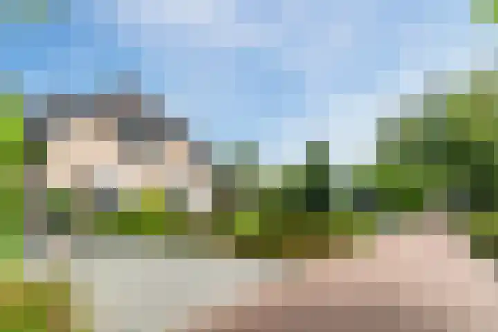 Sleedoorn 27 Geldrop thumbnail 60