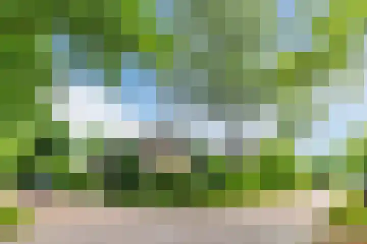 Sleedoorn 27 Geldrop thumbnail 61