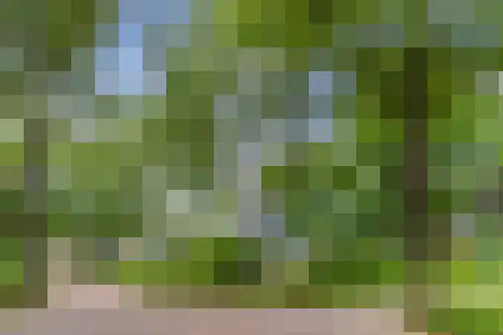 Sleedoorn 27 Geldrop thumbnail 62