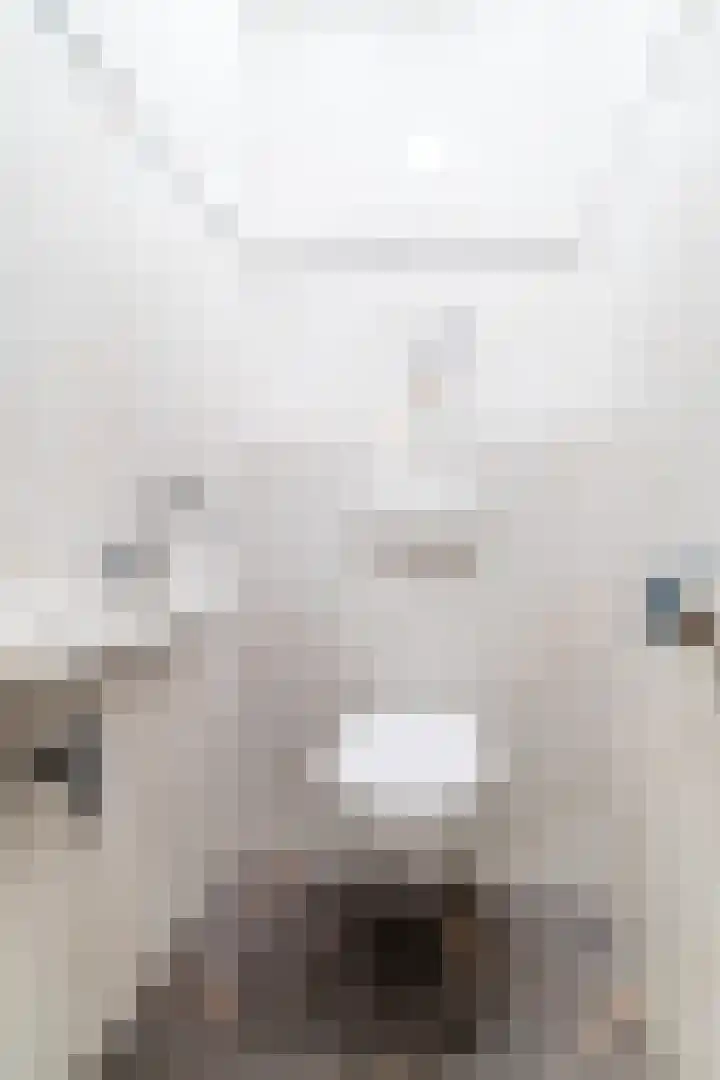 Sleedoorn 27 Geldrop thumbnail 7