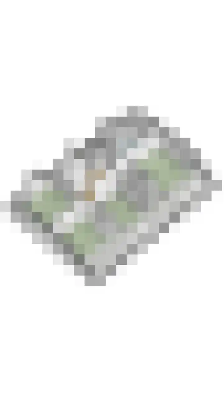 Sleedoorn 27 Geldrop thumbnail 70