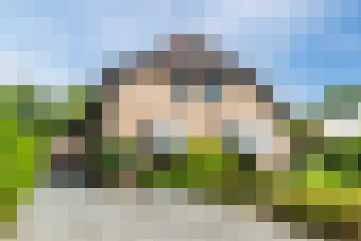 Sleedoorn 27 Geldrop thumbnail 75