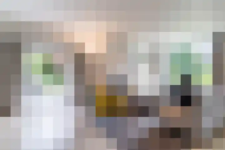 Sleedoorn 27 Geldrop thumbnail 8