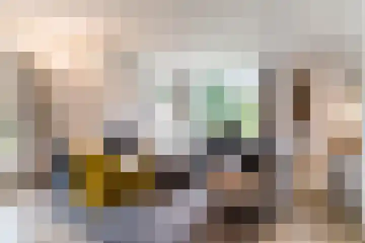 Sleedoorn 27 Geldrop thumbnail 9