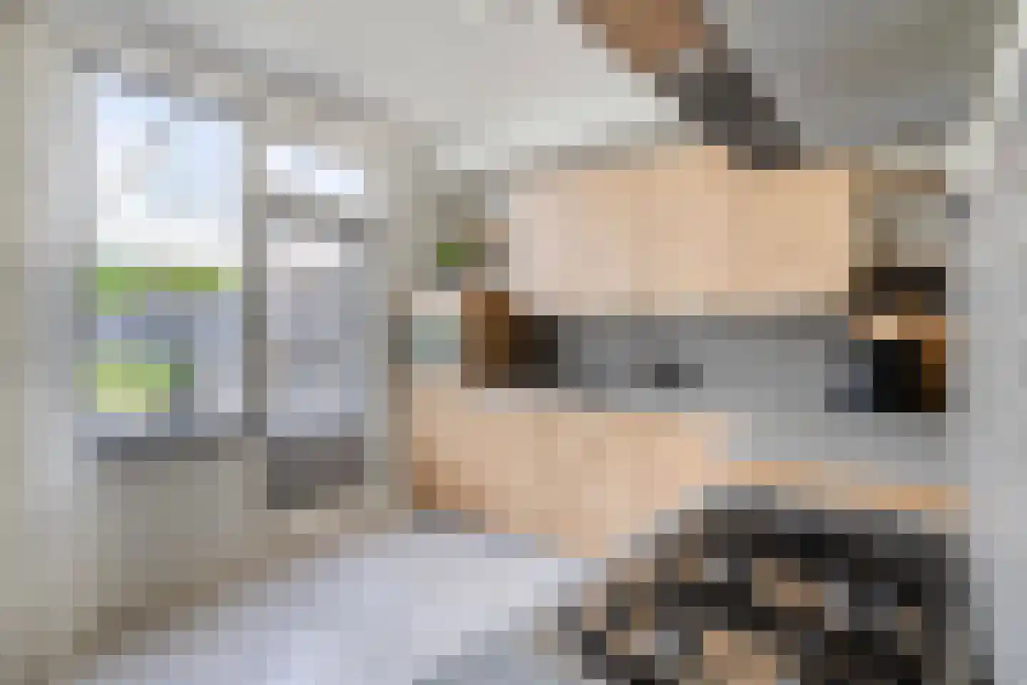 Sleedoorn 29 Cuijk thumbnail 13