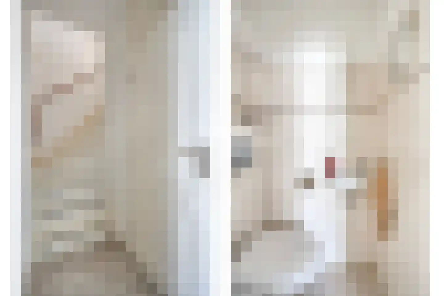 Sleedoorn 29 Cuijk thumbnail 15