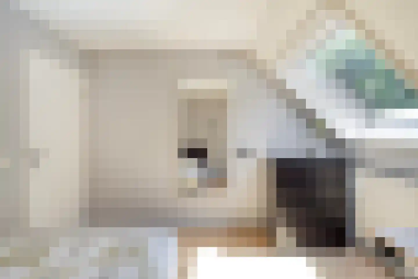Sleedoorn 29 Cuijk thumbnail 21