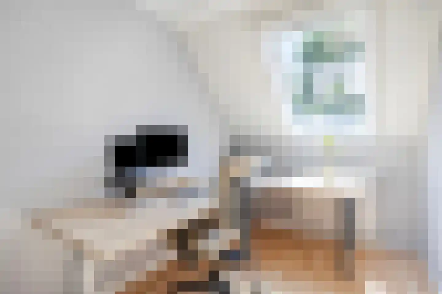 Sleedoorn 29 Cuijk thumbnail 22