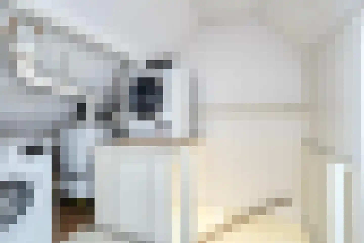 Sleedoorn 29 Cuijk thumbnail 23