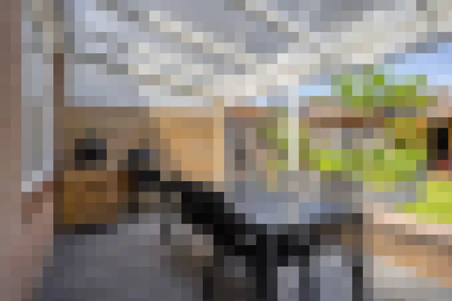 Sleedoorn 29 Cuijk thumbnail 25