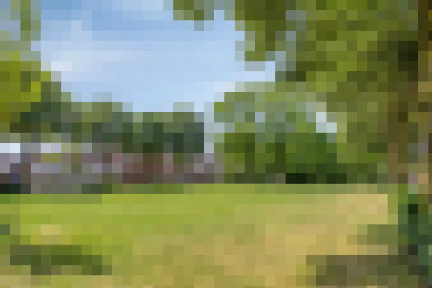 Sleedoorn 29 Cuijk thumbnail 31
