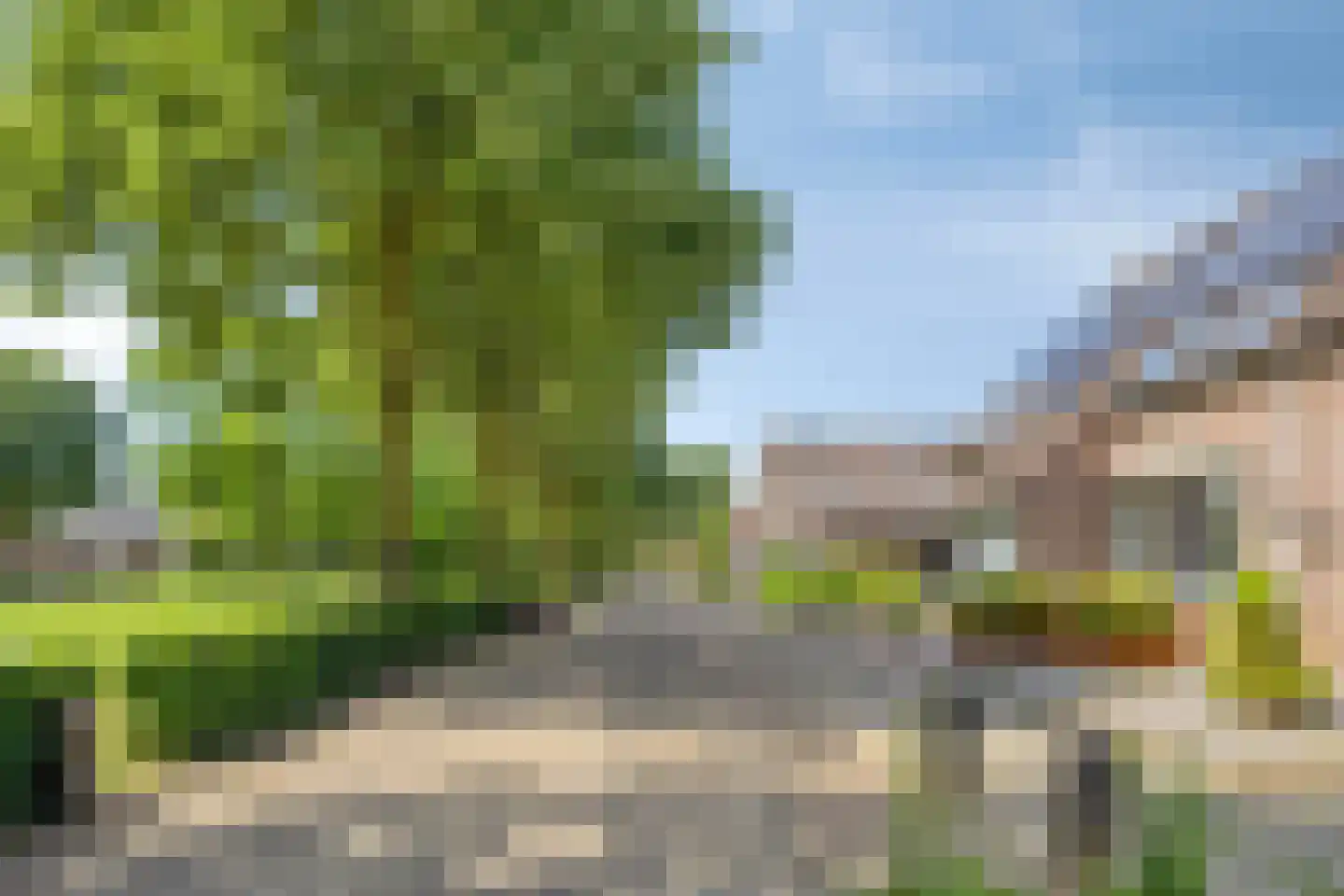 Sleedoorn 29 Cuijk thumbnail 33